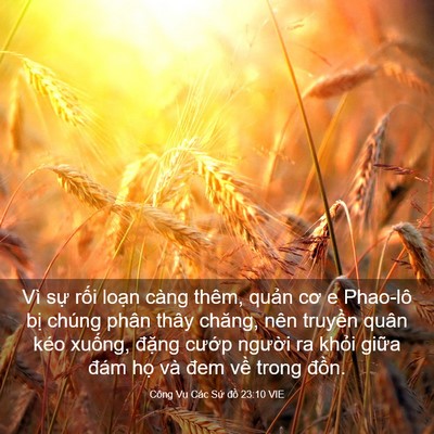 Picture 03 - Công Vụ Các Sứ đồ 23:10 VIE - Vì sự rối loạn càng thêm, quản cơ e - Bible Verse Picture