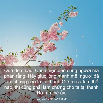 Picture 03 - Công Vụ Các Sứ đồ 23:11 VIE - Qua đêm sau, Chúa hiện đến cùng người - Bible Verse Picture