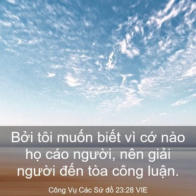 Picture 03 - Công Vụ Các Sứ đồ 23:28 VIE - Bởi tôi muốn biết vì cớ nào họ cáo - Bible Verse Picture