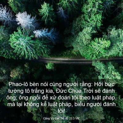 Picture 03 - Công Vụ Các Sứ đồ 23:3 VIE - Phao-lô bèn nói cùng người rằng: Hỡi - Bible Verse Picture