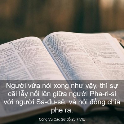 Picture 03 - Công Vụ Các Sứ đồ 23:7 VIE - Người vừa nói xong như vậy, thì sự - Bible Verse Picture
