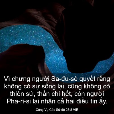 Picture 03 - Công Vụ Các Sứ đồ 23:8 VIE - Vì chưng người Sa-đu-sê quyết rằng - Bible Verse Picture