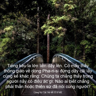 Picture 03 - Công Vụ Các Sứ đồ 23:9 VIE - Tiếng kêu la lớn liền dậy lên. Có - Bible Verse Picture
