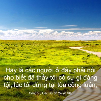 Picture 03 - Công Vụ Các Sứ đồ 24:20 VIE - Hay là các người ở đây phải nói cho - Bible Verse Picture