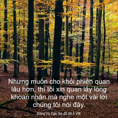 Picture 03 - Công Vụ Các Sứ đồ 24:4 VIE - Nhưng muốn cho khỏi phiền quan lâu hơn, - Bible Verse Picture