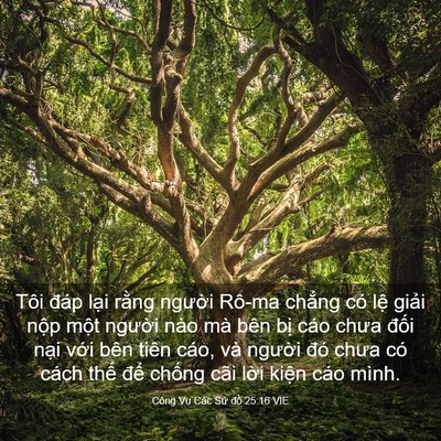 Picture 03 - Công Vụ Các Sứ đồ 25:16 VIE - Tôi đáp lại rằng người Rô-ma chẳng - Bible Verse Picture