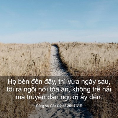 Picture 03 - Công Vụ Các Sứ đồ 25:17 VIE - Họ bèn đến đây, thì vừa ngày sau, - Bible Verse Picture