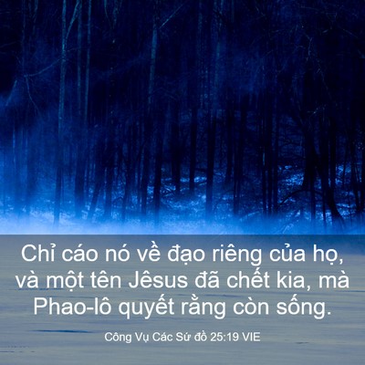 Picture 03 - Công Vụ Các Sứ đồ 25:19 VIE - Chỉ cáo nó về đạo riêng của họ, và - Bible Verse Picture