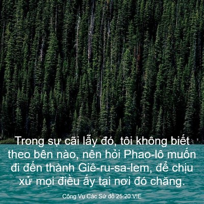 Picture 03 - Công Vụ Các Sứ đồ 25:20 VIE - Trong sự cãi lẫy đó, tôi không biết - Bible Verse Picture