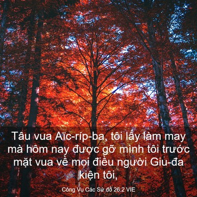 Picture 03 - Công Vụ Các Sứ đồ 26:2 VIE - Tâu vua Aïc-ríp-ba, tôi lấy làm may mà - Bible Verse Picture
