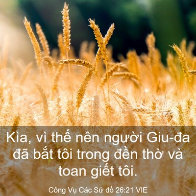 Picture 03 - Công Vụ Các Sứ đồ 26:21 VIE - Kìa, vì thế nên người Giu-đa đã bắt - Bible Verse Picture