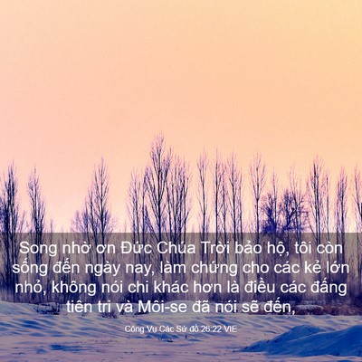 Picture 03 - Công Vụ Các Sứ đồ 26:22 VIE - Song nhờ ơn Đức Chúa Trời bảo hộ, - Bible Verse Picture