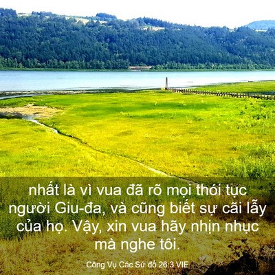 Picture 03 - Công Vụ Các Sứ đồ 26:3 VIE - nhất là vì vua đã rõ mọi thói tục - Bible Verse Picture