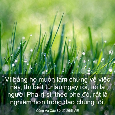 Picture 03 - Công Vụ Các Sứ đồ 26:5 VIE - Ví bằng họ muốn làm chứng về việc - Bible Verse Picture