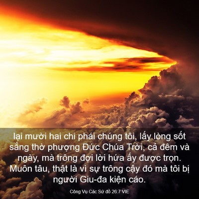 Picture 03 - Công Vụ Các Sứ đồ 26:7 VIE - lại mười hai chi phái chúng tôi, lấy - Bible Verse Picture