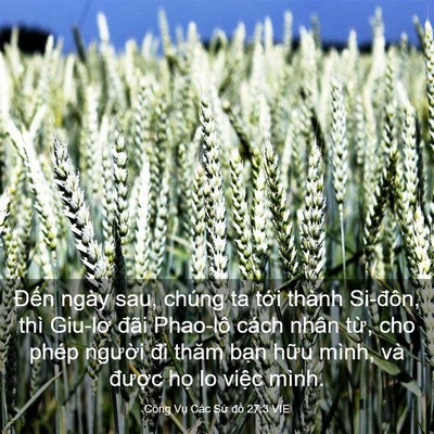 Picture 03 - Công Vụ Các Sứ đồ 27:3 VIE - Đến ngày sau, chúng ta tới thành - Bible Verse Picture