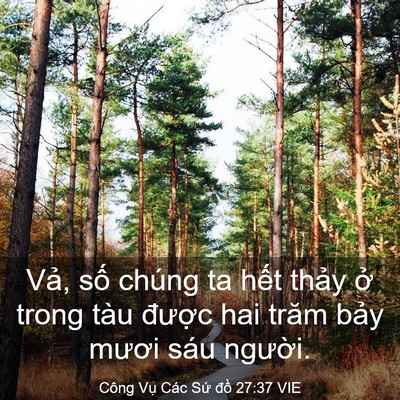 Picture 03 - Công Vụ Các Sứ đồ 27:37 VIE - Vả, số chúng ta hết thảy ở trong tàu - Bible Verse Picture