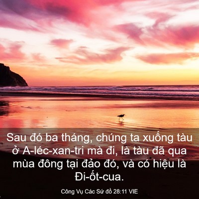 Picture 03 - Công Vụ Các Sứ đồ 28:11 VIE - Sau đó ba tháng, chúng ta xuống tàu ở - Bible Verse Picture
