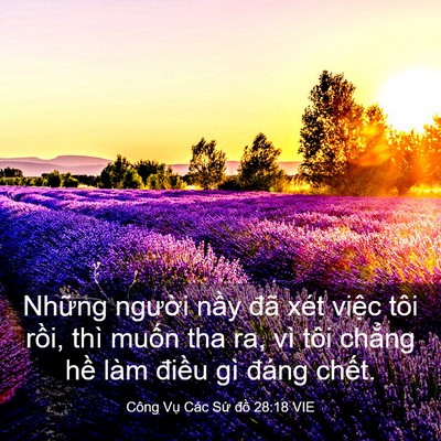 Picture 03 - Công Vụ Các Sứ đồ 28:18 VIE - Những người nầy đã xét việc tôi - Bible Verse Picture