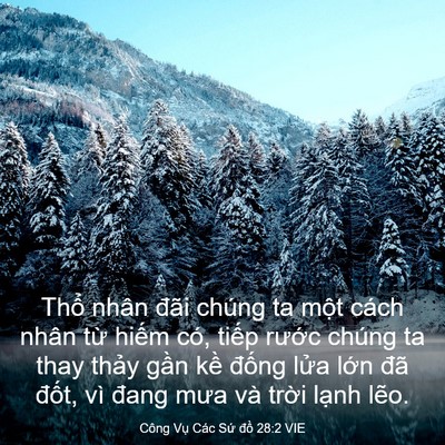 Picture 03 - Công Vụ Các Sứ đồ 28:2 VIE - Thổ nhân đãi chúng ta một cách nhân - Bible Verse Picture