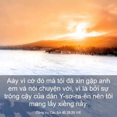 Picture 03 - Công Vụ Các Sứ đồ 28:20 VIE - Aáy vì cớ đó mà tôi đã xin gặp anh em - Bible Verse Picture