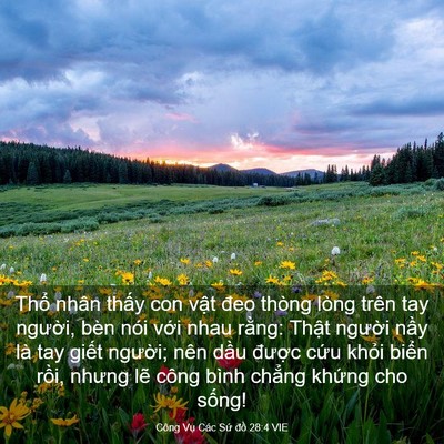 Picture 03 - Công Vụ Các Sứ đồ 28:4 VIE - Thổ nhân thấy con vật đeo thòng lòng - Bible Verse Picture
