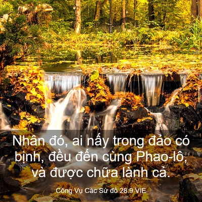 Picture 03 - Công Vụ Các Sứ đồ 28:9 VIE - Nhân đó, ai nấy trong đảo có bịnh, - Bible Verse Picture