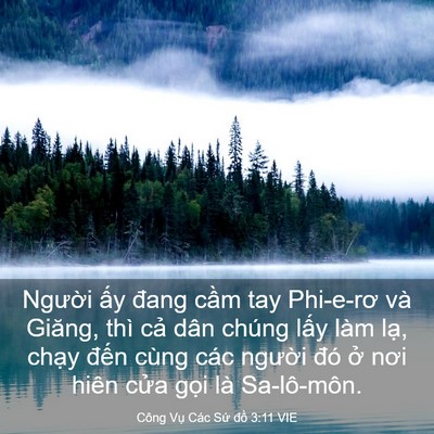 Picture 03 - Công Vụ Các Sứ đồ 3:11 VIE - Người ấy đang cầm tay Phi-e-rơ và - Bible Verse Picture