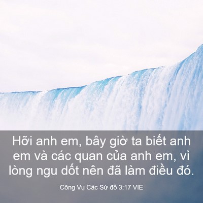Picture 03 - Công Vụ Các Sứ đồ 3:17 VIE - Hỡi anh em, bây giờ ta biết anh em và - Bible Verse Picture