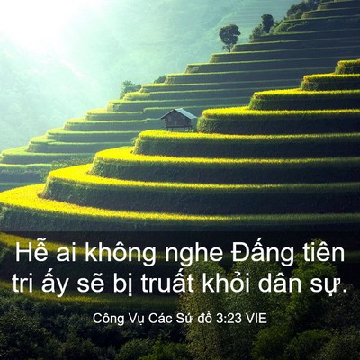 Picture 03 - Công Vụ Các Sứ đồ 3:23 VIE - Hễ ai không nghe Đấng tiên tri ấy sẽ - Bible Verse Picture
