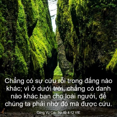 Picture 03 - Công Vụ Các Sứ đồ 4:12 VIE - Chẳng có sự cứu rỗi trong đấng nào - Bible Verse Picture