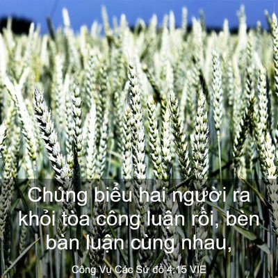 Picture 03 - Công Vụ Các Sứ đồ 4:15 VIE - Chúng biểu hai người ra khỏi tòa công - Bible Verse Picture