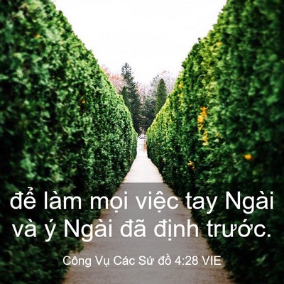Picture 03 - Công Vụ Các Sứ đồ 4:28 VIE - để làm mọi việc tay Ngài và ý Ngài - Bible Verse Picture