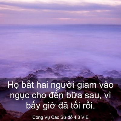 Picture 03 - Công Vụ Các Sứ đồ 4:3 VIE - Họ bắt hai người giam vào ngục cho - Bible Verse Picture