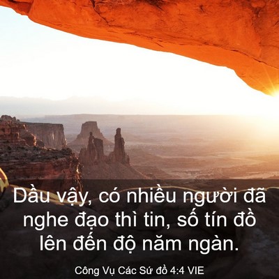 Picture 03 - Công Vụ Các Sứ đồ 4:4 VIE - Dầu vậy, có nhiều người đã nghe - Bible Verse Picture