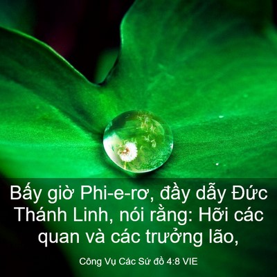 Picture 03 - Công Vụ Các Sứ đồ 4:8 VIE - Bấy giờ Phi-e-rơ, đầy dẫy Đức Thánh - Bible Verse Picture