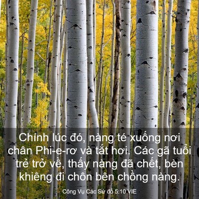 Picture 03 - Công Vụ Các Sứ đồ 5:10 VIE - Chính lúc đó, nàng té xuống nơi chân - Bible Verse Picture