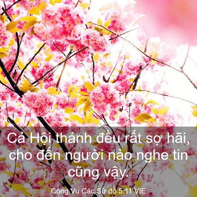 Picture 03 - Công Vụ Các Sứ đồ 5:11 VIE - Cả Hội thánh đều rất sợ hãi, cho - Bible Verse Picture