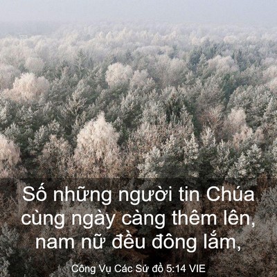 Picture 03 - Công Vụ Các Sứ đồ 5:14 VIE - Số những người tin Chúa cùng ngày càng - Bible Verse Picture