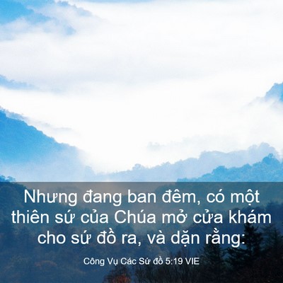 Picture 03 - Công Vụ Các Sứ đồ 5:19 VIE - Nhưng đang ban đêm, có một thiên sứ - Bible Verse Picture