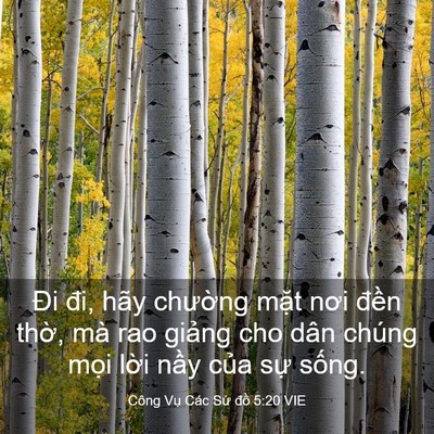 Picture 03 - Công Vụ Các Sứ đồ 5:20 VIE - Đi đi, hãy chường mặt nơi đền thờ, - Bible Verse Picture