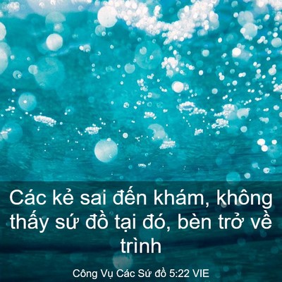 Picture 03 - Công Vụ Các Sứ đồ 5:22 VIE - Các kẻ sai đến khám, không thấy sứ - Bible Verse Picture