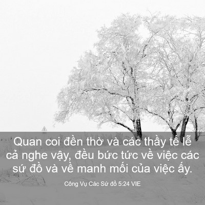 Picture 03 - Công Vụ Các Sứ đồ 5:24 VIE - Quan coi đền thờ và các thầy tế lễ - Bible Verse Picture
