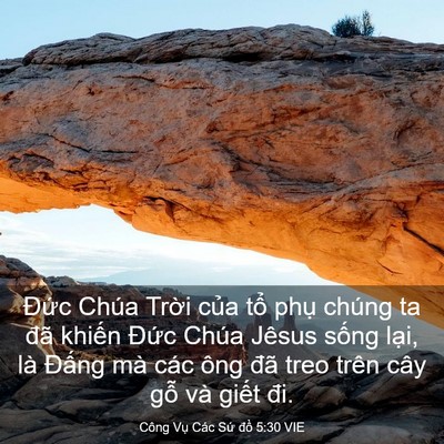Picture 03 - Công Vụ Các Sứ đồ 5:30 VIE - Đức Chúa Trời của tổ phụ chúng ta - Bible Verse Picture