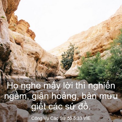 Picture 03 - Công Vụ Các Sứ đồ 5:33 VIE - Họ nghe mấy lời thì nghiến ngầm, - Bible Verse Picture