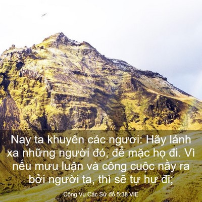 Picture 03 - Công Vụ Các Sứ đồ 5:38 VIE - Nay ta khuyên các ngươi: Hãy lánh xa - Bible Verse Picture