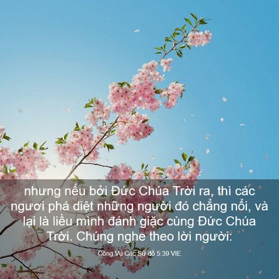 Picture 03 - Công Vụ Các Sứ đồ 5:39 VIE - nhưng nếu bởi Đức Chúa Trời ra, thì - Bible Verse Picture