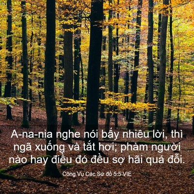 Picture 03 - Công Vụ Các Sứ đồ 5:5 VIE - A-na-nia nghe nói bấy nhiêu lời, thì ngã - Bible Verse Picture