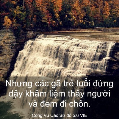Picture 03 - Công Vụ Các Sứ đồ 5:6 VIE - Nhưng các gã trẻ tuổi đứng dậy khâm - Bible Verse Picture