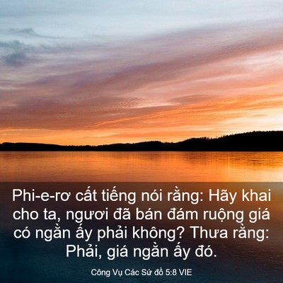 Picture 03 - Công Vụ Các Sứ đồ 5:8 VIE - Phi-e-rơ cất tiếng nói rằng: Hãy khai - Bible Verse Picture